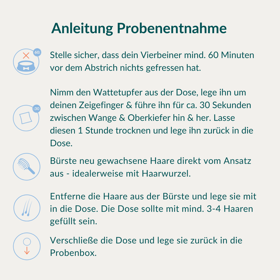 Vetevo Allergietest Pro Hund – 316 Futtermittel-Unverträglichkeiten &amp; Nährstoffmängel aufdecken | Endlich Klarheit bei Juckreiz, Hautproblemen &amp; Verdauungsbeschwerden