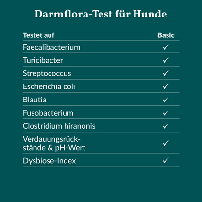 Vetevo Darmflora Test Basic für Hunde – Bakterienprofil, pH-Wert &amp; Futterrückstände analysieren | Bei Durchfall, Hautproblemen, Maulgeruch &amp; Allergien | Ergebnisse in 24h direkt aufs Handy