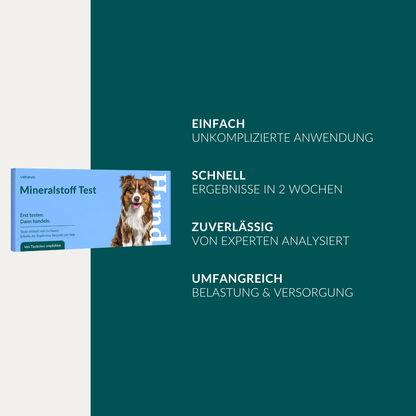 Vetevo Mineralstoff Test Plus Hund – Fellanalyse auf 19 Mineralstoffe, Spurenelemente &amp; toxische Metalle | Schwermetall-Belastung erkennen | Einfach zuhause testen