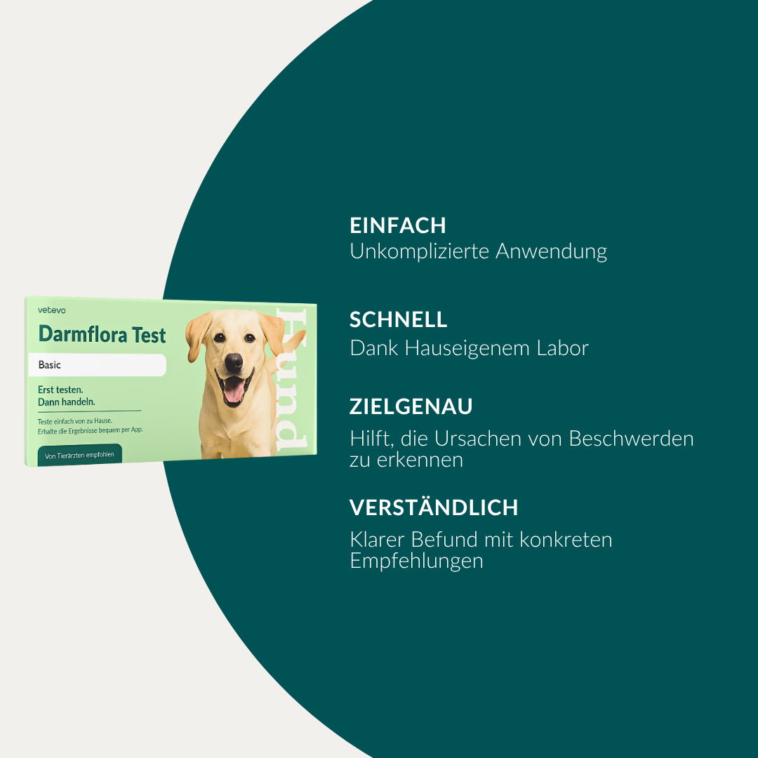 Vetevo Darmflora Test Basic für Hunde – Bakterienprofil, pH-Wert &amp; Futterrückstände analysieren | Bei Durchfall, Hautproblemen, Maulgeruch &amp; Allergien | Ergebnisse in 24h direkt aufs Handy