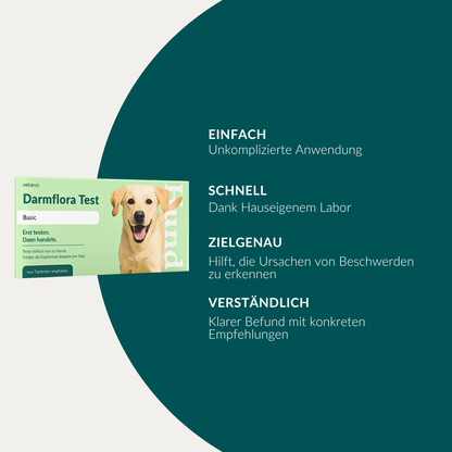 Vetevo Darmflora Test Basic für Hunde – Bakterienprofil, pH-Wert &amp; Futterrückstände analysieren | Bei Durchfall, Hautproblemen, Maulgeruch &amp; Allergien | Ergebnisse in 24h direkt aufs Handy