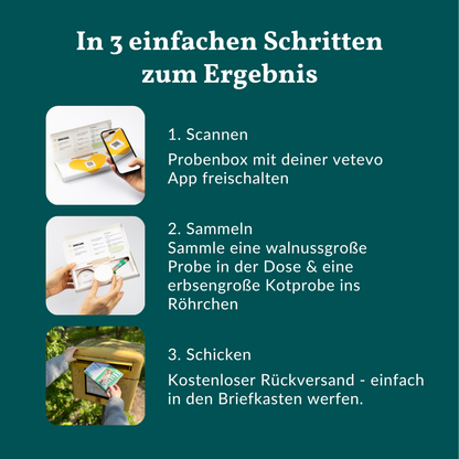 Vetevo Darmflora Test Basic für Hunde – Bakterienprofil, pH-Wert &amp; Futterrückstände analysieren | Bei Durchfall, Hautproblemen, Maulgeruch &amp; Allergien | Ergebnisse in 24h direkt aufs Handy