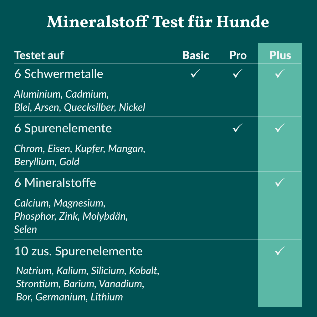 Vetevo Mineralstoff Test Plus Hund – Fellanalyse auf 19 Mineralstoffe, Spurenelemente &amp; toxische Metalle | Schwermetall-Belastung erkennen | Einfach zuhause testen
