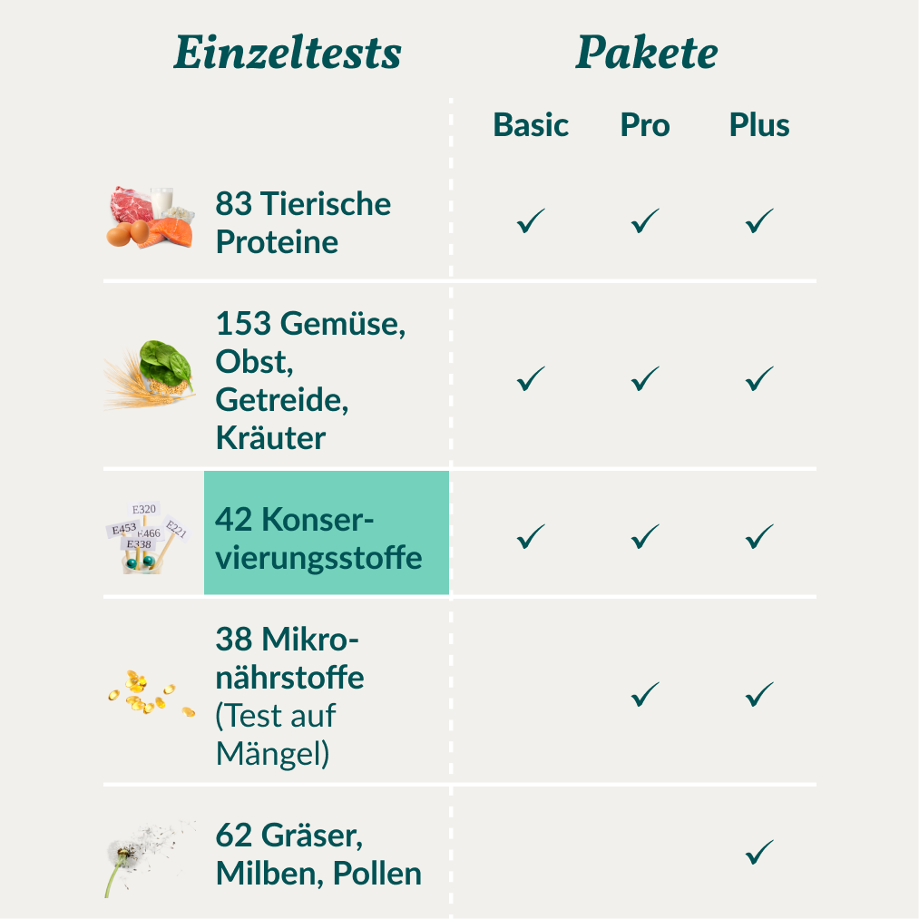 Vetevo Allergietest Konservierungsstoffe Hund – Endlich Klarheit bei Juckreiz, Durchfall &amp; Pfotenlecken | 42 Unverträglichkeiten testen