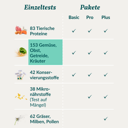 Vetevo Allergietest Hund – 153 Unverträglichkeiten erkennen | Getreide, Gemüse, Obst, Kräuter &amp; Öle | Ursachen für Juckreiz, Durchfall &amp; Pfotenlecken endlich aufdecken