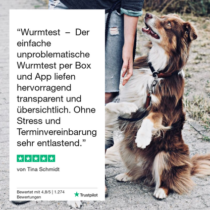 Vetevo Durchfalltest Hund – Schnelle Diagnose bei Durchfall, Erbrechen &amp; Bauchschmerzen | Testet auf Coronaviren, Parvoviren, Giardien &amp; Kryptosporidien