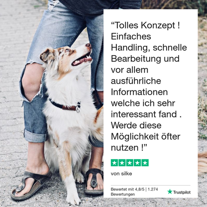 Vetevo Giardientest für Hunde – Zuverlässige Diagnose bei Durchfall &amp; Verdauungsproblemen | ELISA-Analyse | Ergebnis in 12 Stunden
