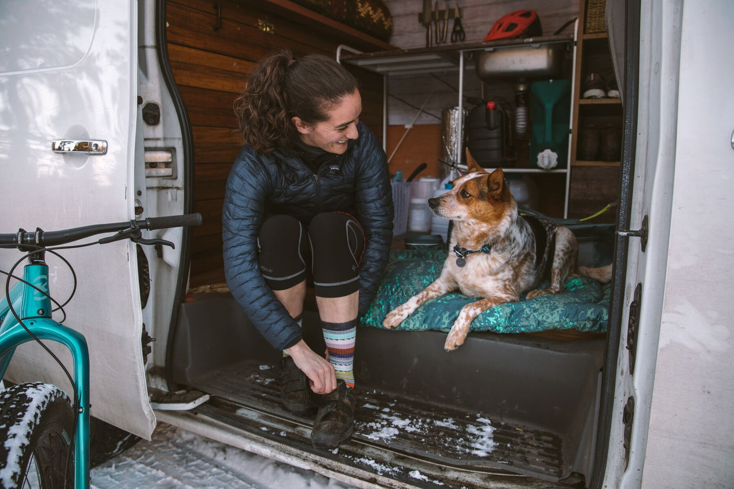 Hundebetten