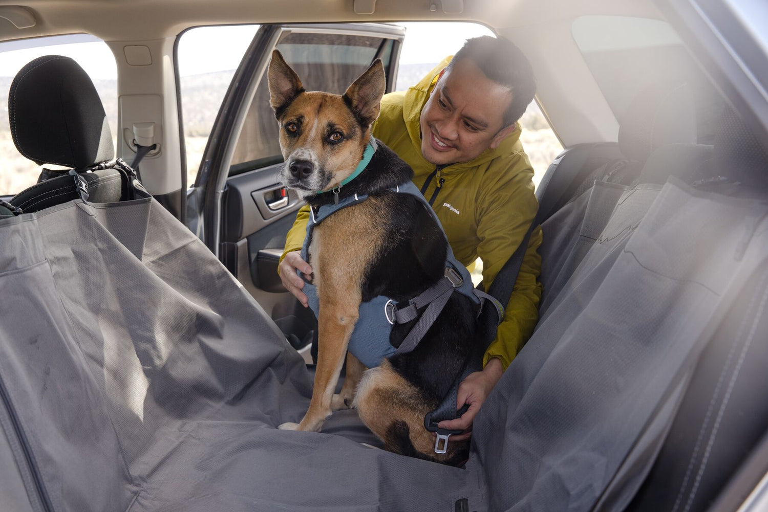 Autozubehör Hund