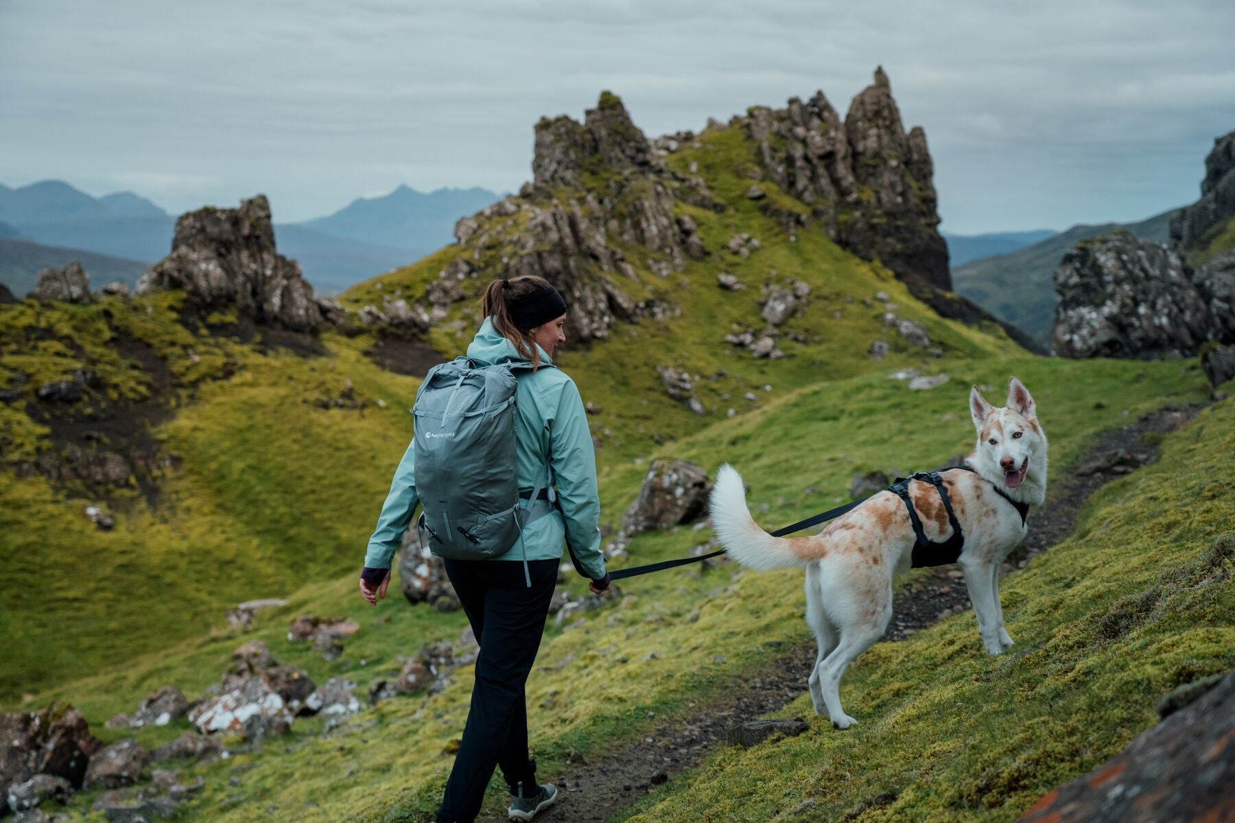 Woofshack - Hundezubehör, Hundefutter & Snacks