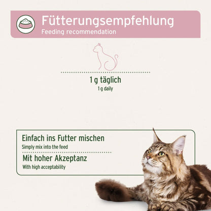 AniForte 4in1 Complete Cat für Katzen - Woofshack