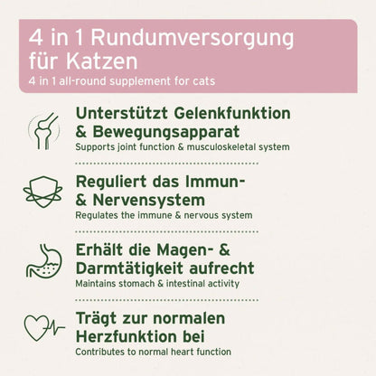 AniForte 4in1 Complete Cat für Katzen - Woofshack