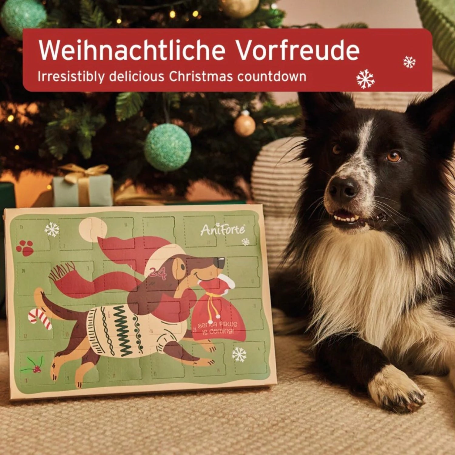 AniForte Adventskalender 2025 für Hunde - Woofshack