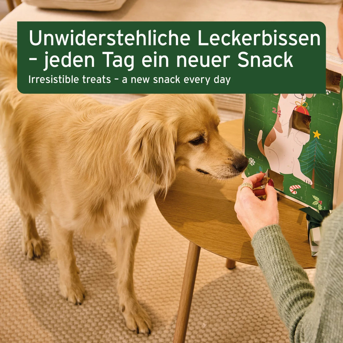 AniForte Adventskalender für Hunde 2026 - Festliche Genussmomente mit neun leckeren Snack-Sorten, schonend gebackenen Funktionssnacks und knusprigen Kokos Sticks - Woofshack