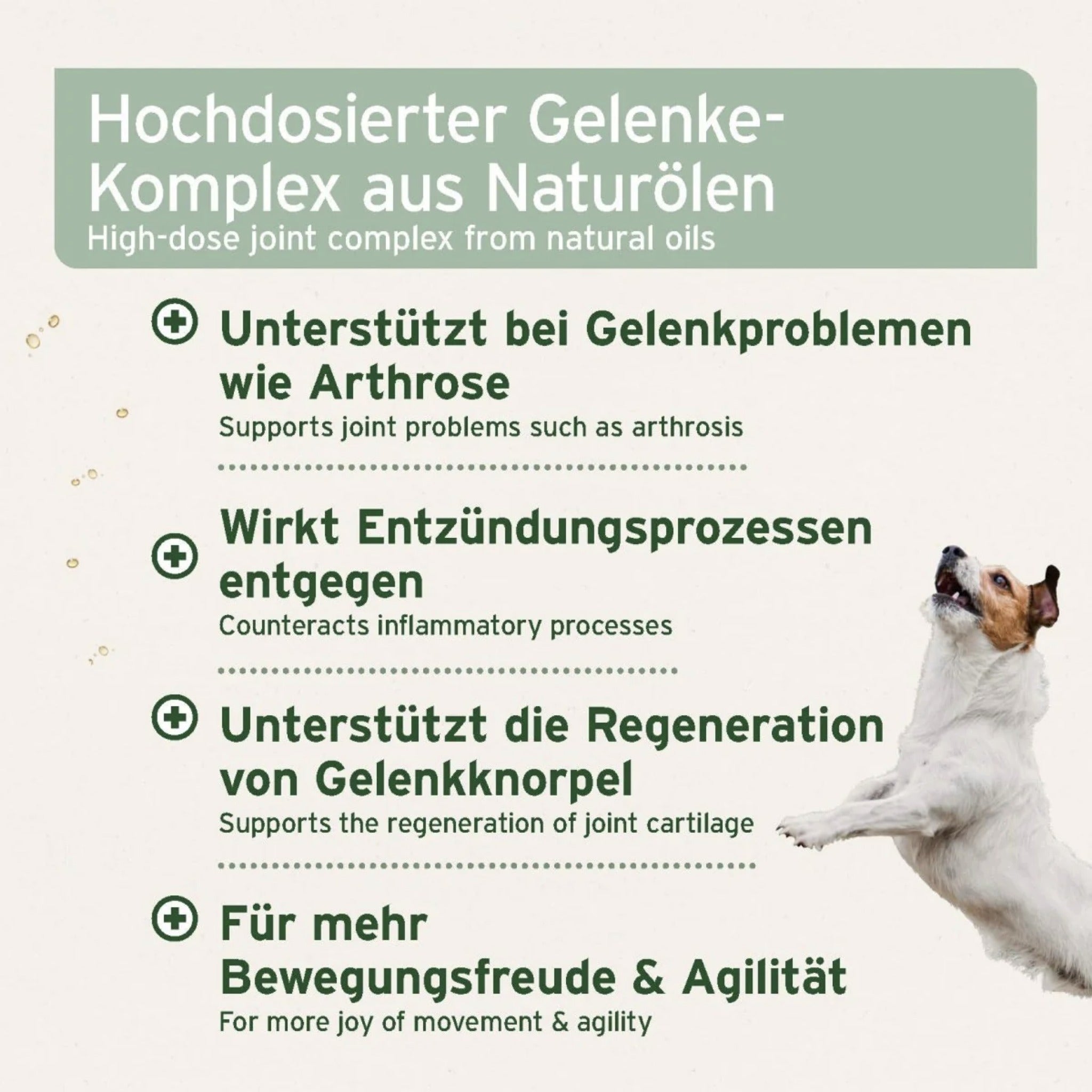 AniForte Arthro Omega Öl für Hunde – Premium Gelenkunterstützung mit Omega-3 bei Arthrose &amp; Gelenkentzündungen