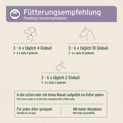 AniForte Bachblüten Cherry Plum, Gelassenheit - Globuli - Woofshack