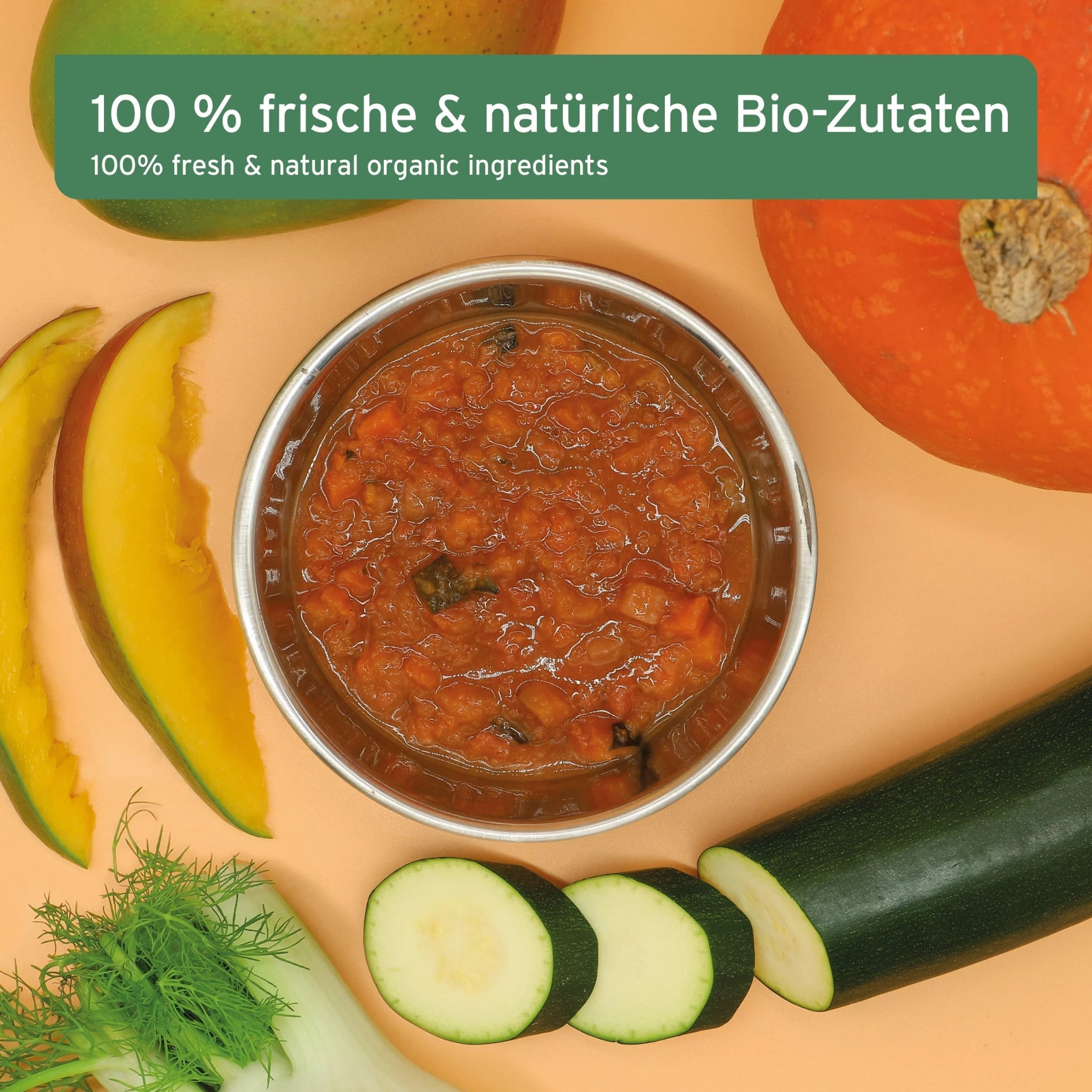 AniForte BIO BARF - Püree mit Fenchel &amp; Mango für Hunde - Woofshack