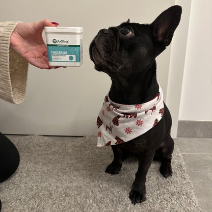 AniForte Denta Clean &amp; Care Zahnpflege Set für Hunde - Woofshack