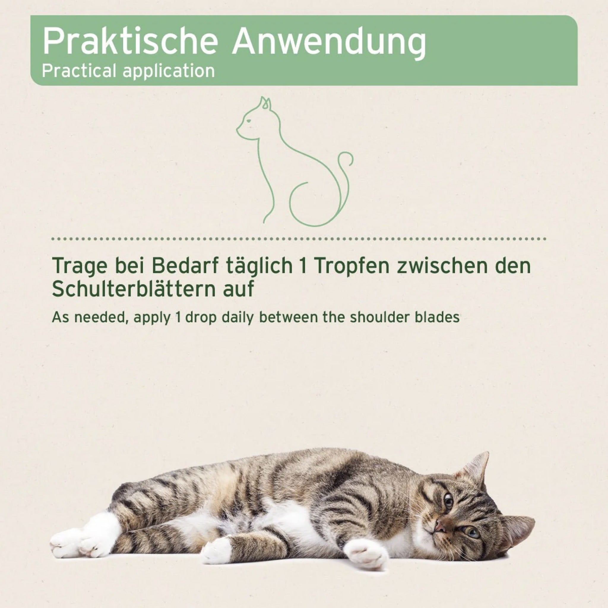 AniForte Ectoprotex Spot - on für Katzen - Woofshack
