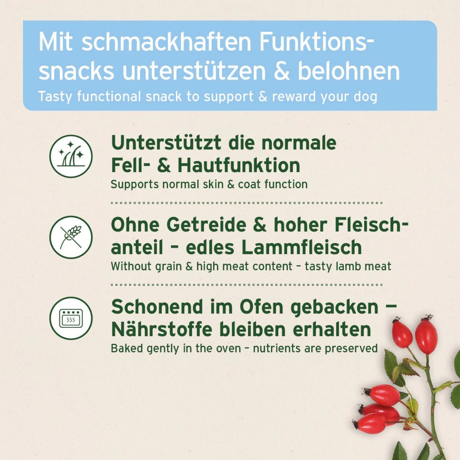 AniForte Fell &amp; Haut Snack für Hunde – Natürliche Hautpflege