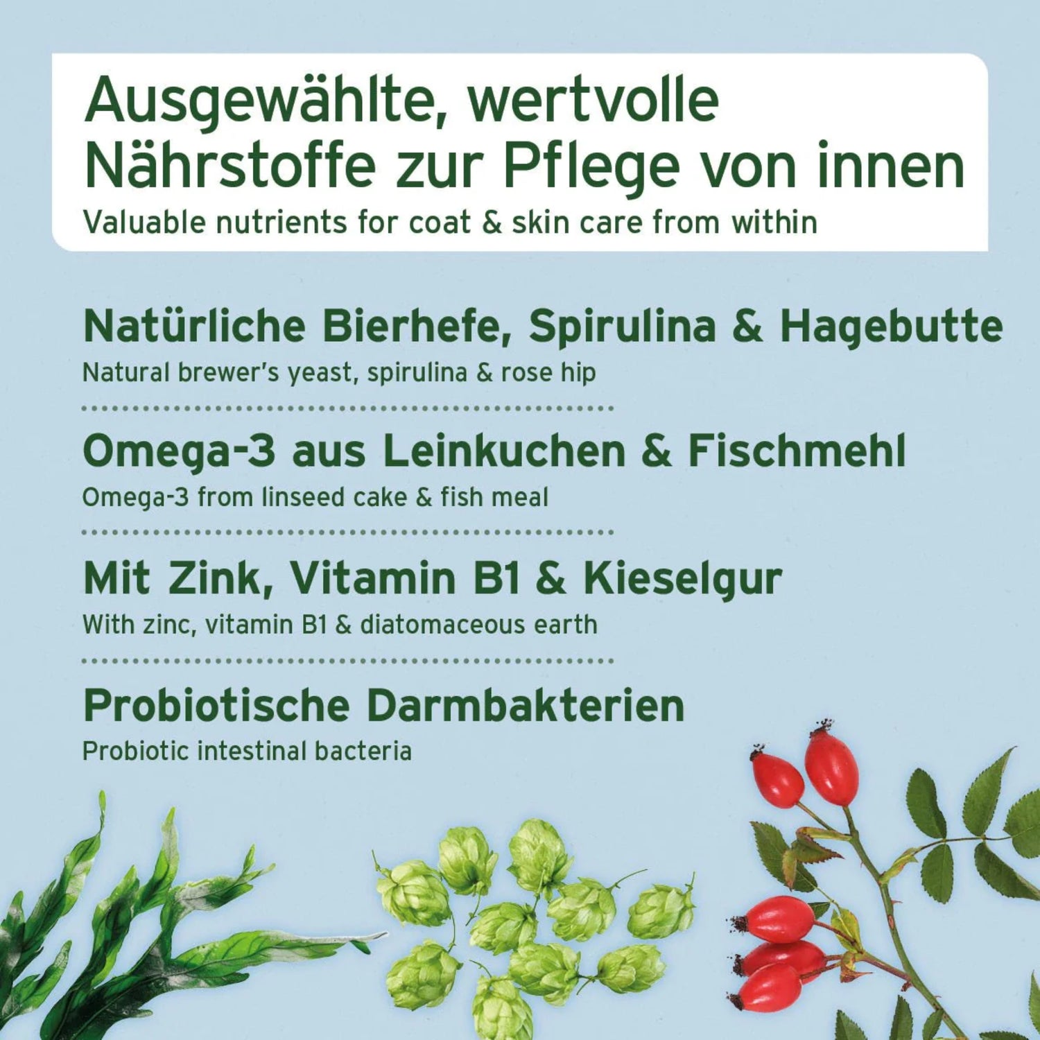 AniForte Fell &amp; Haut Snack für Hunde – Natürliche Hautpflege