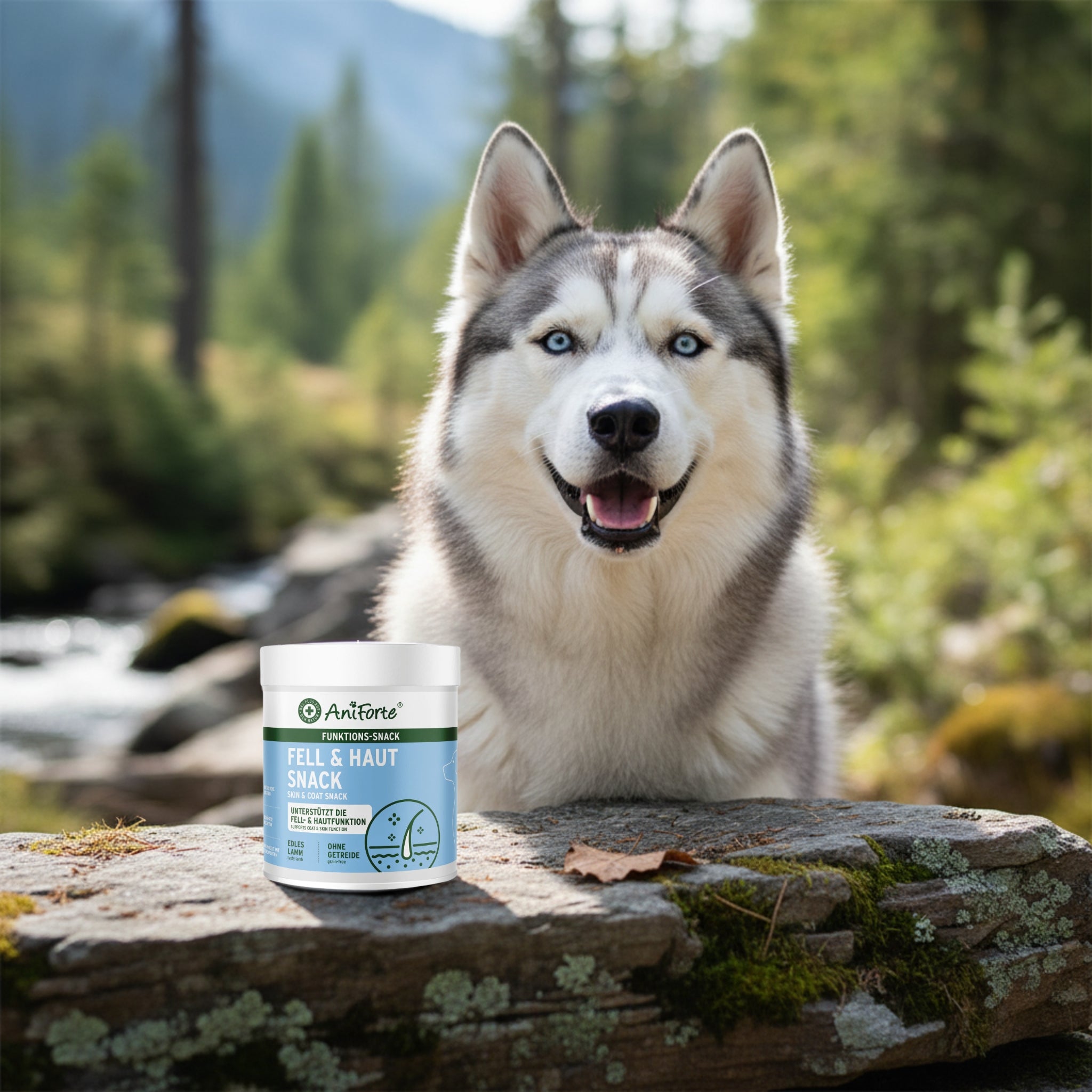 AniForte Fell &amp; Haut Snack für Hunde – Natürliche Hautpflege - Woofshack