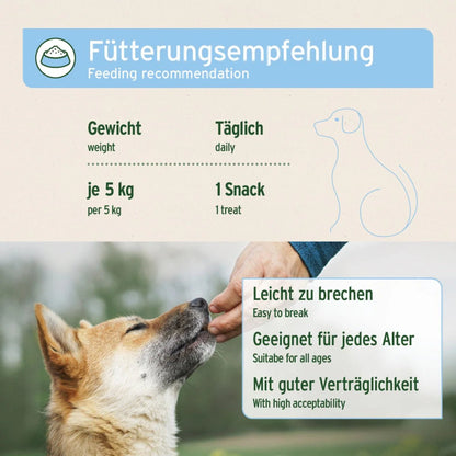 AniForte Fell &amp; Haut Snack für Hunde – Natürliche Hautpflege - Woofshack