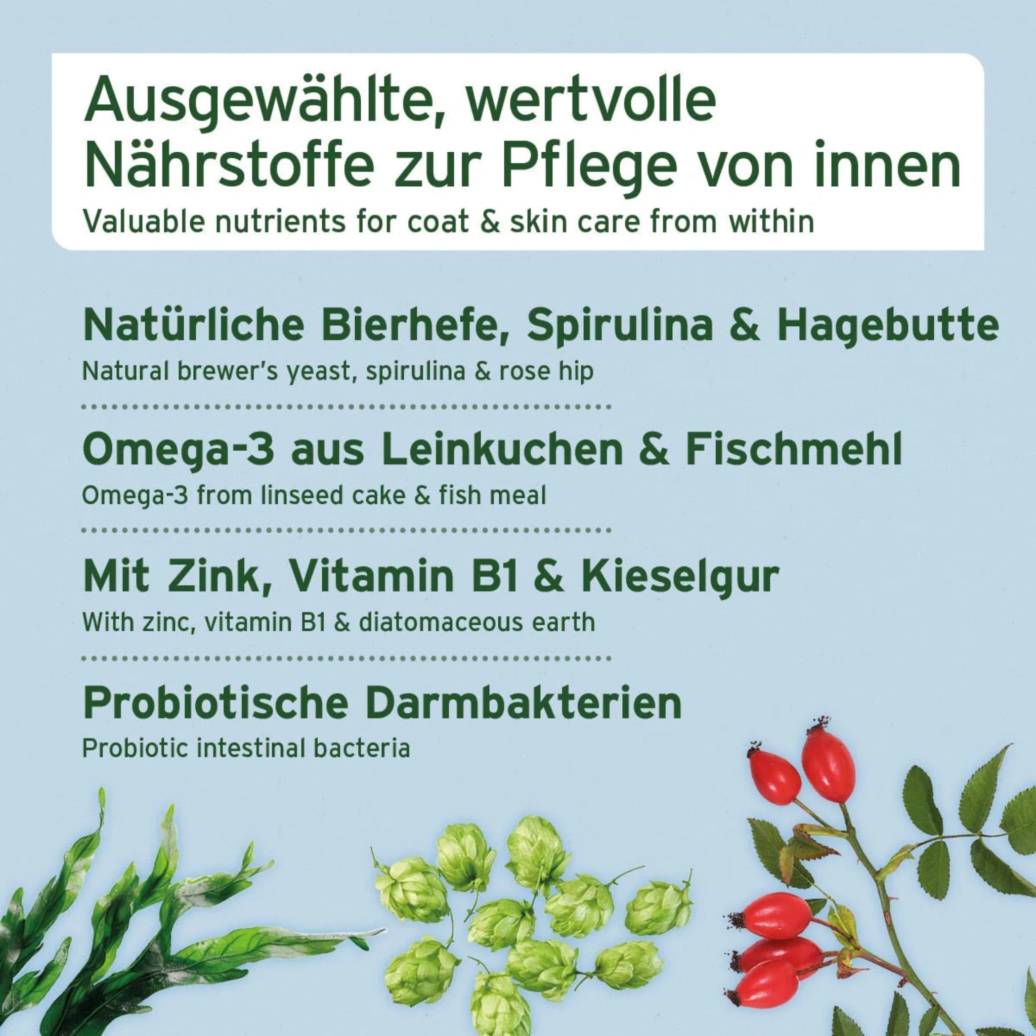 AniForte Fell &amp; Haut Snack für Hunde – Natürliche Hautpflege - Woofshack