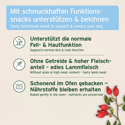 AniForte Fell &amp; Haut Snack für Hunde – Natürliche Hautpflege - Woofshack