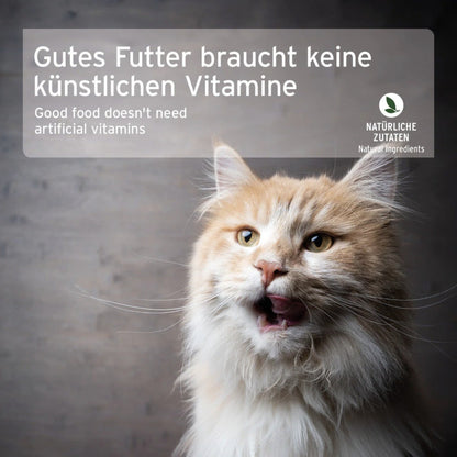 AniForte Fine Turkey Katzen Nassfutter - Woofshack