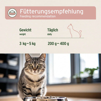 AniForte Fish &amp; Chicken Katzen Nassfutter - Woofshack