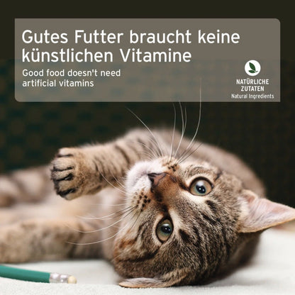 AniForte Fish &amp; Chicken Katzen Nassfutter - Woofshack