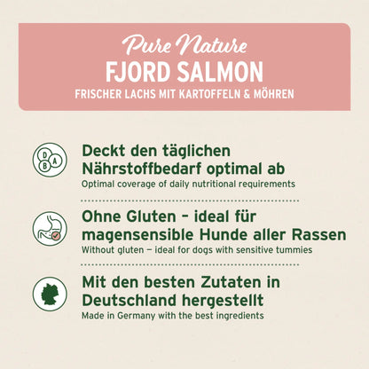 AniForte Fjord Salmon Premium Lachs Trockenfutter – Kaltgepresst &amp; Hochverdaulich für Hunde - Woofshack