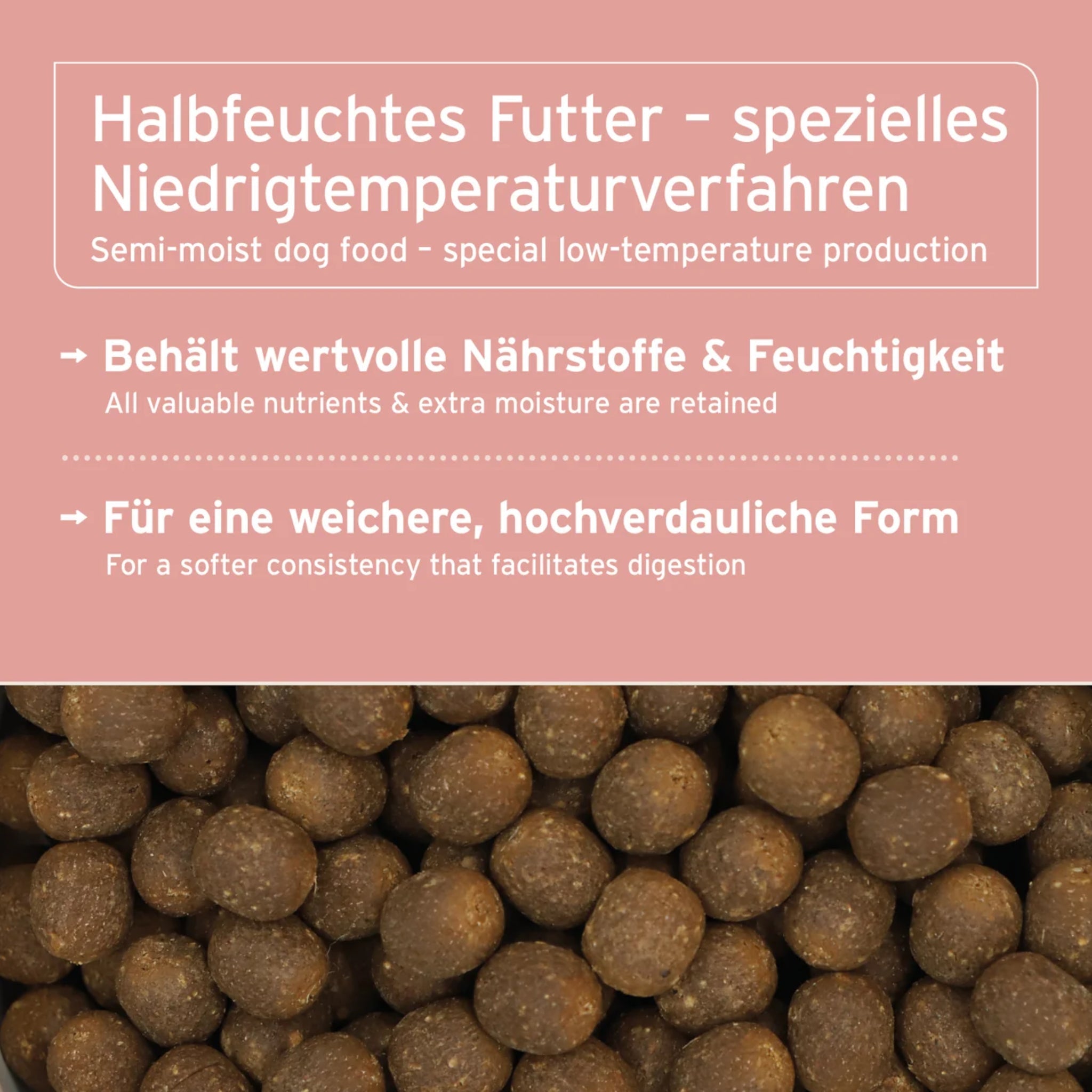 AniForte Fjord Salmon Premium Lachs Trockenfutter – Kaltgepresst &amp; Hochverdaulich für Hunde - Woofshack