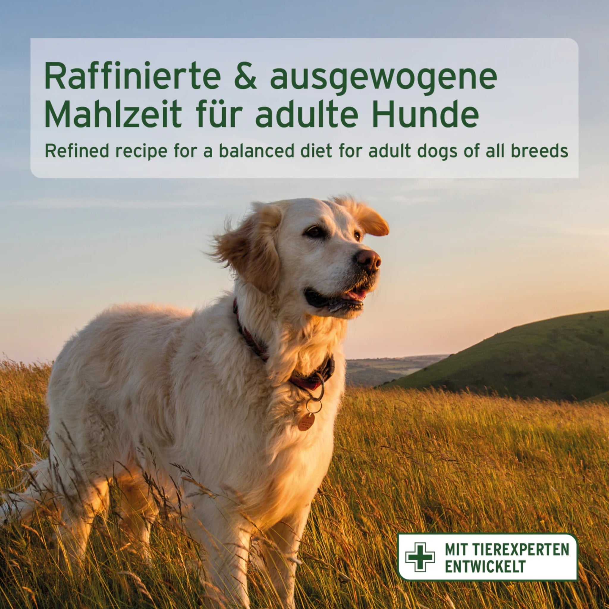 AniForte Freeland Duck Hunde Trockenfutter – Halbfeucht, Leicht Verdaulich &amp; Reich an Omega - 3 für Sensible Hunde - Woofshack