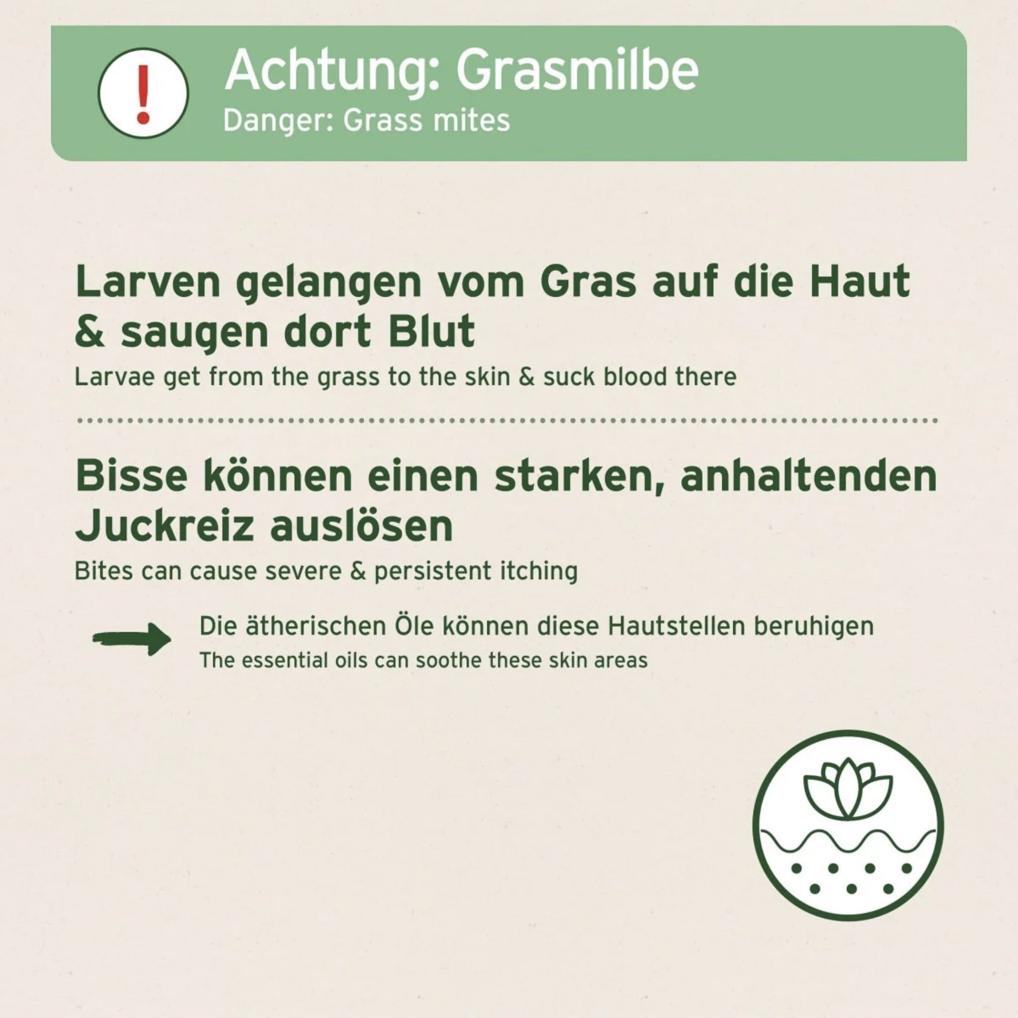 AniForte Grasmilben-EX Spray für Hunde – Natürlicher Schutz gegen Juckreiz, Hautreizungen &amp; Grasmilbenbefall mit ätherischen Ölen