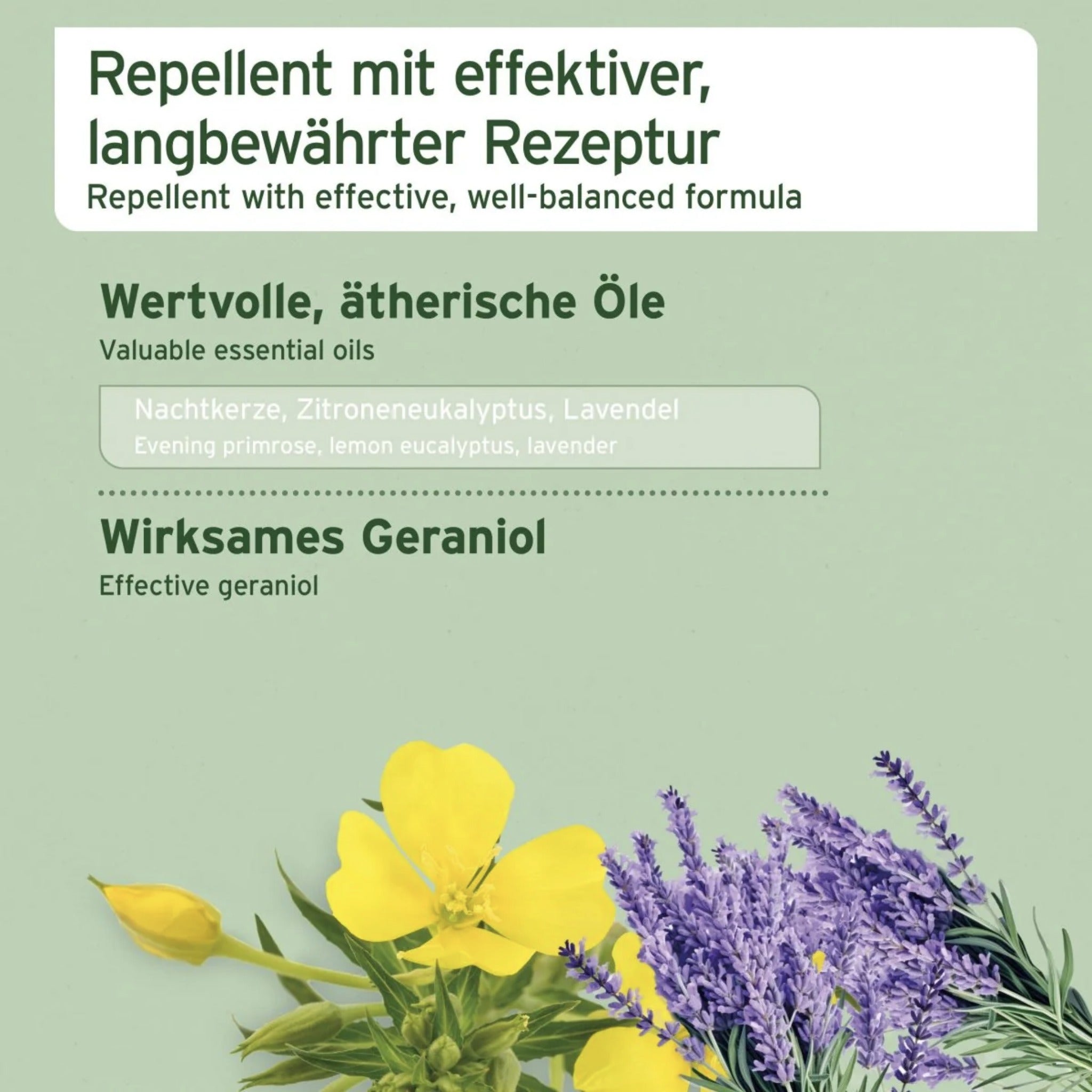 AniForte Grasmilben-EX Spray für Hunde – Natürlicher Schutz gegen Juckreiz, Hautreizungen &amp; Grasmilbenbefall mit ätherischen Ölen