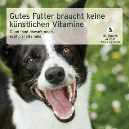 AniForte Greenfield Turkey Hunde Nassfutter - Woofshack