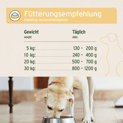 AniForte Greenfield Turkey Hunde Nassfutter - Woofshack