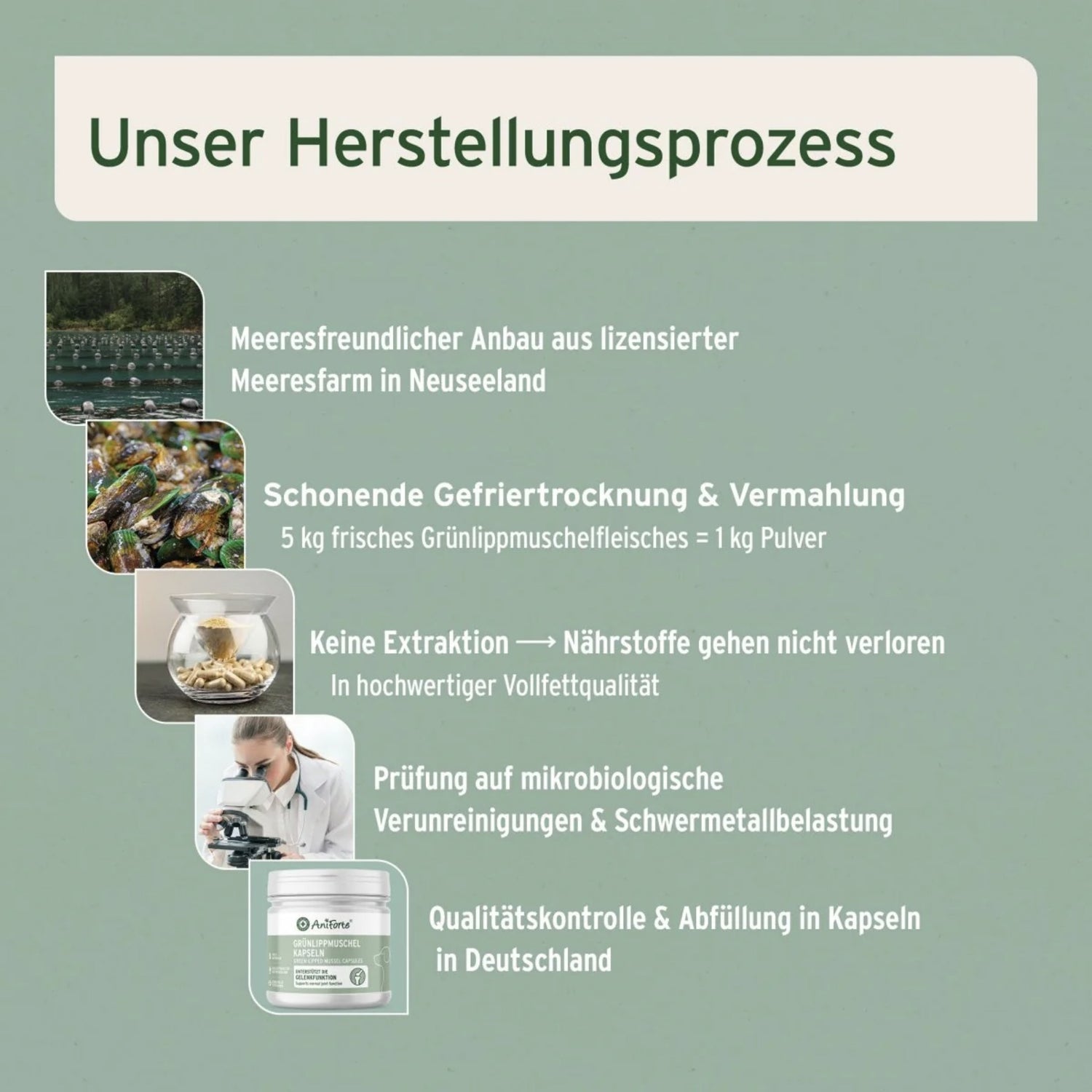 AniForte Grünlippmuschel Kapseln für Hunde