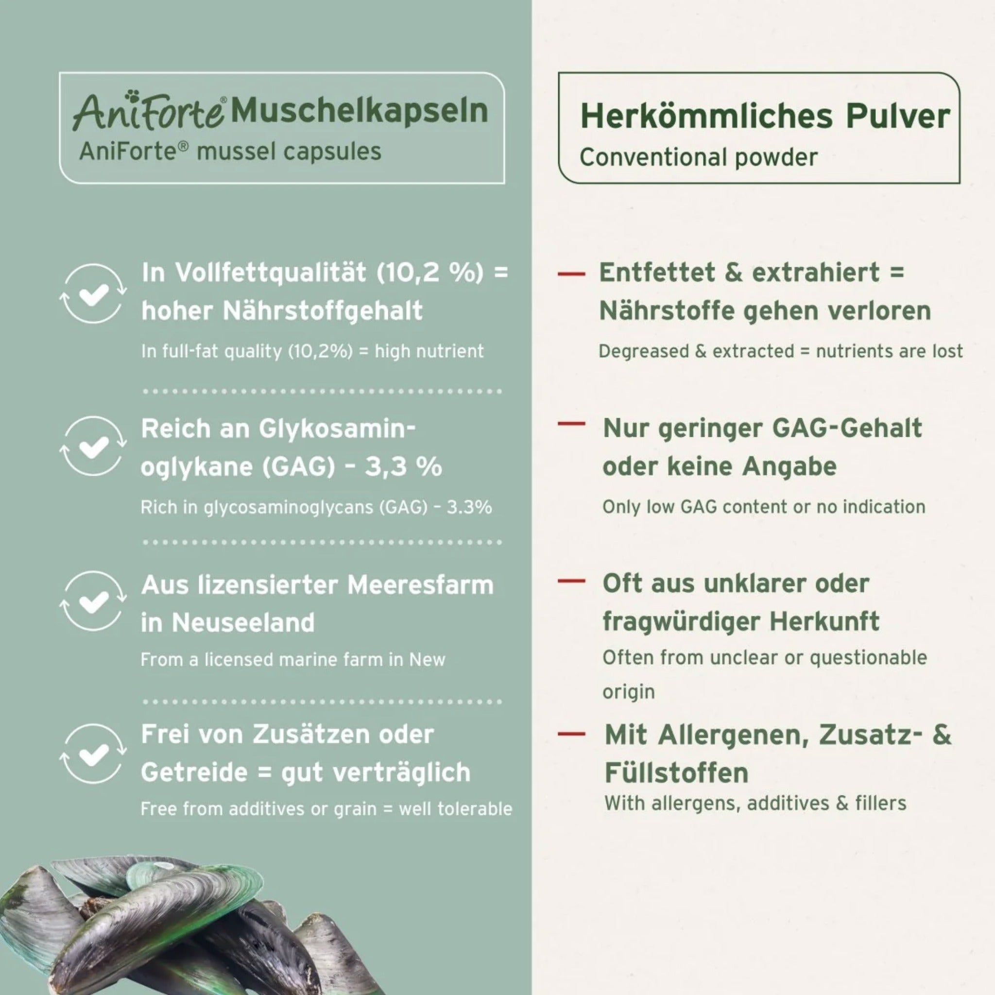 AniForte Grünlippmuschel Kapseln für Hunde – Natürliche Gelenkunterstützung mit Neuseeländischer Perna Canaliculus für Bewegungsfreude &amp; Mobilität