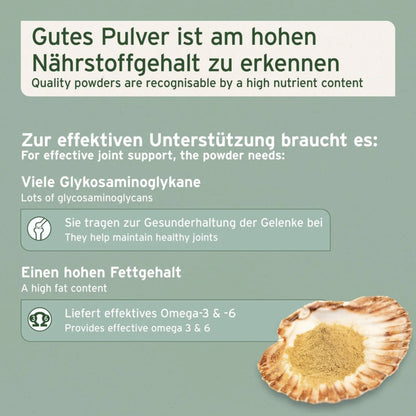 AniForte Grünlippmuschel Kapseln für Hunde