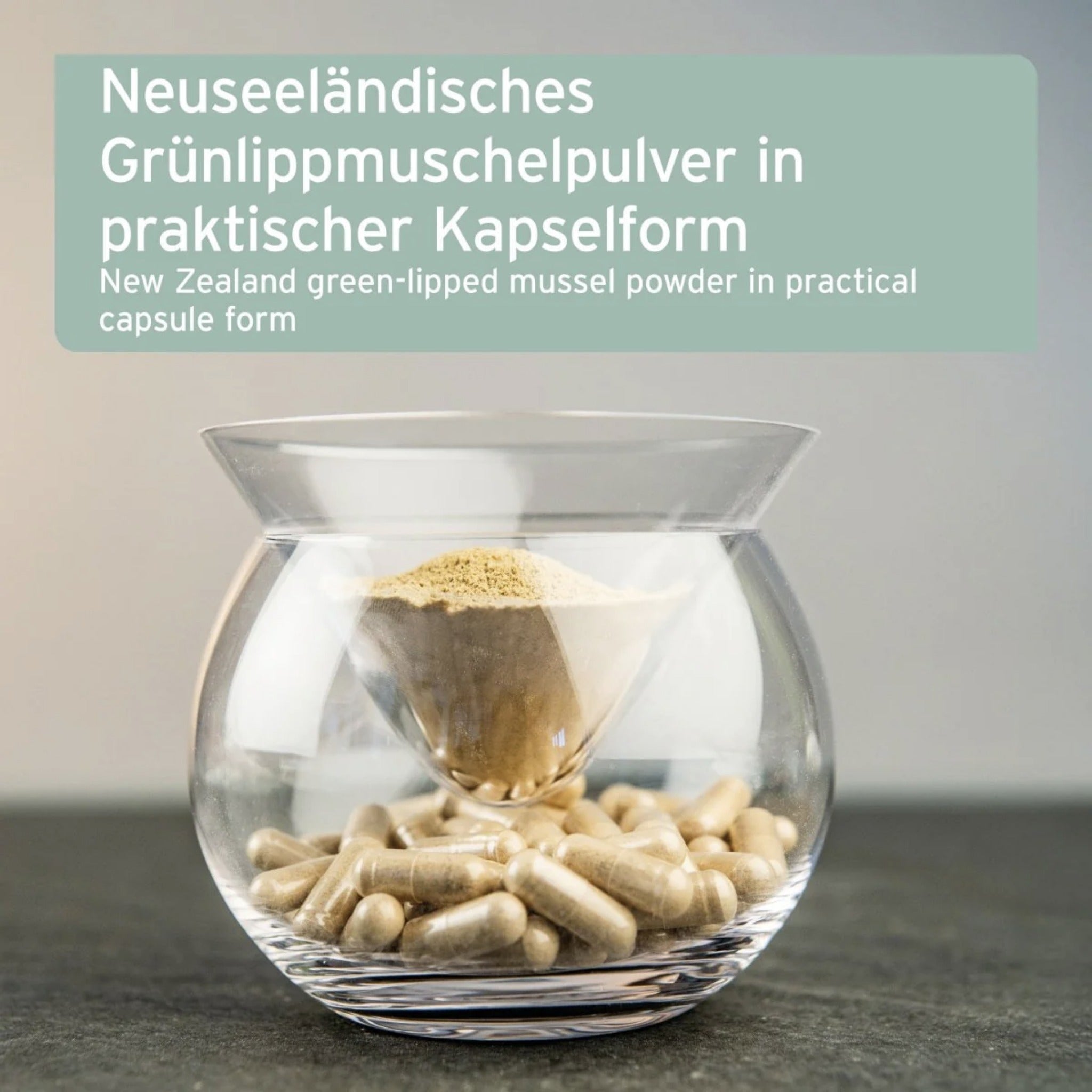 AniForte Grünlippmuschel Kapseln für Hunde – Natürliche Gelenkunterstützung mit Neuseeländischer Perna Canaliculus für Bewegungsfreude &amp; Mobilität