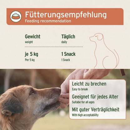 AniForte Immun-Boost Snack für Hunde