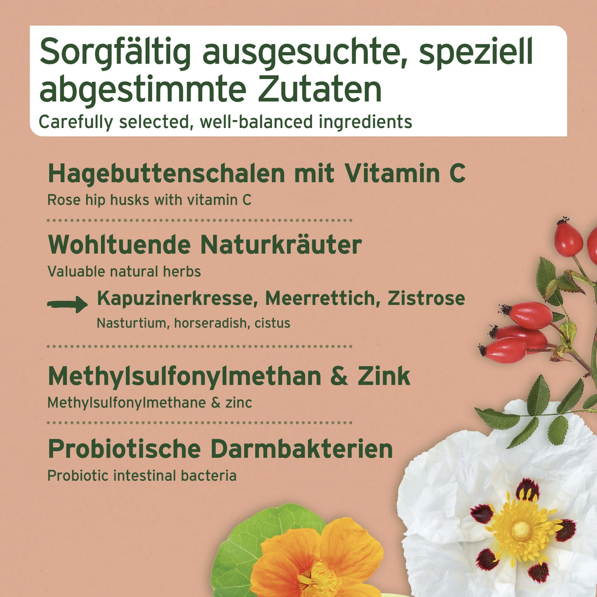 AniForte Immun-Boost Snack für Hunde
