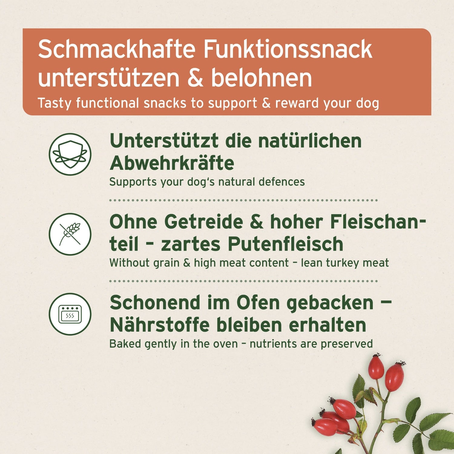 AniForte Immun-Boost Snack für Hunde