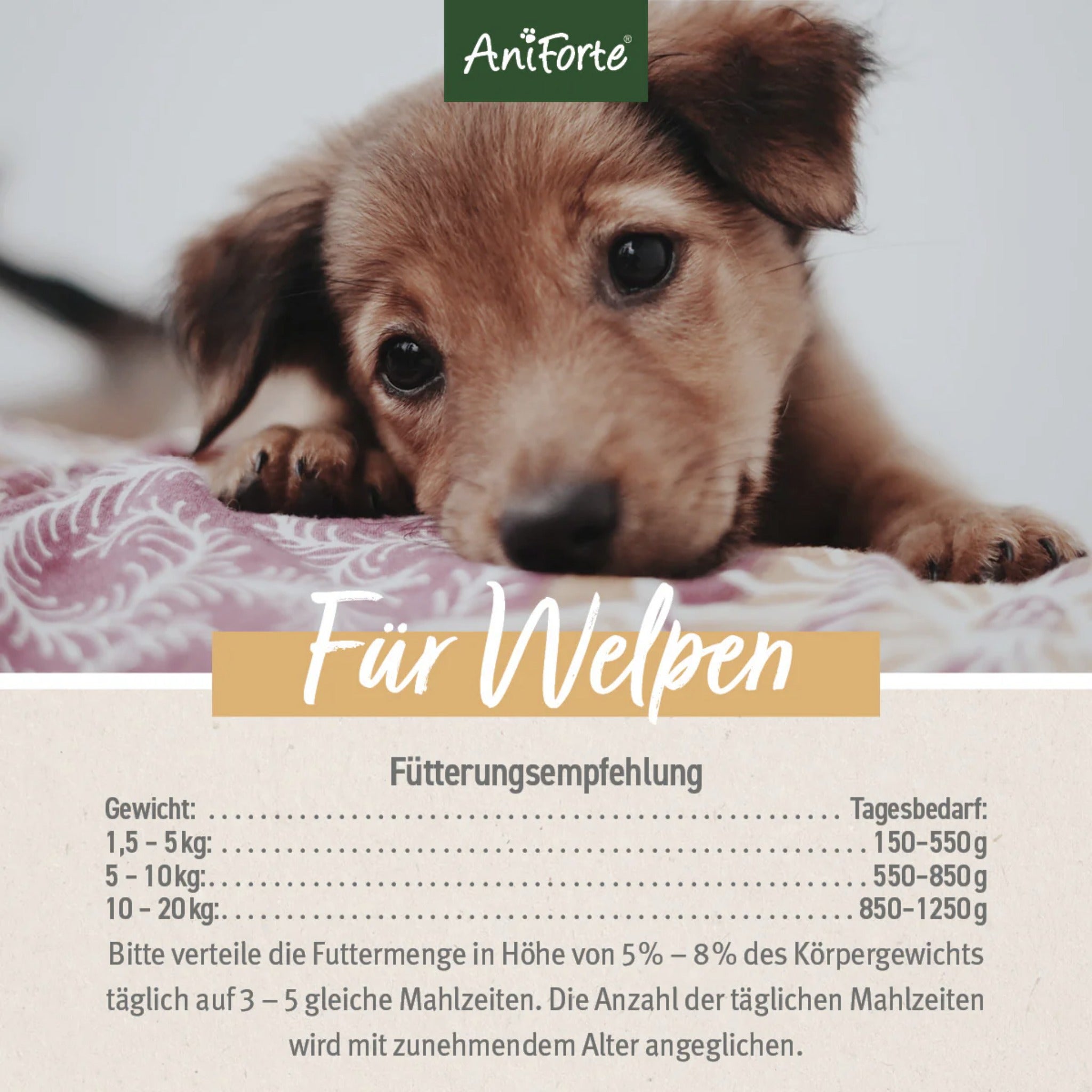 AniForte JuniorMenu Zartes Huhn, Welpen Nassfutter - Woofshack