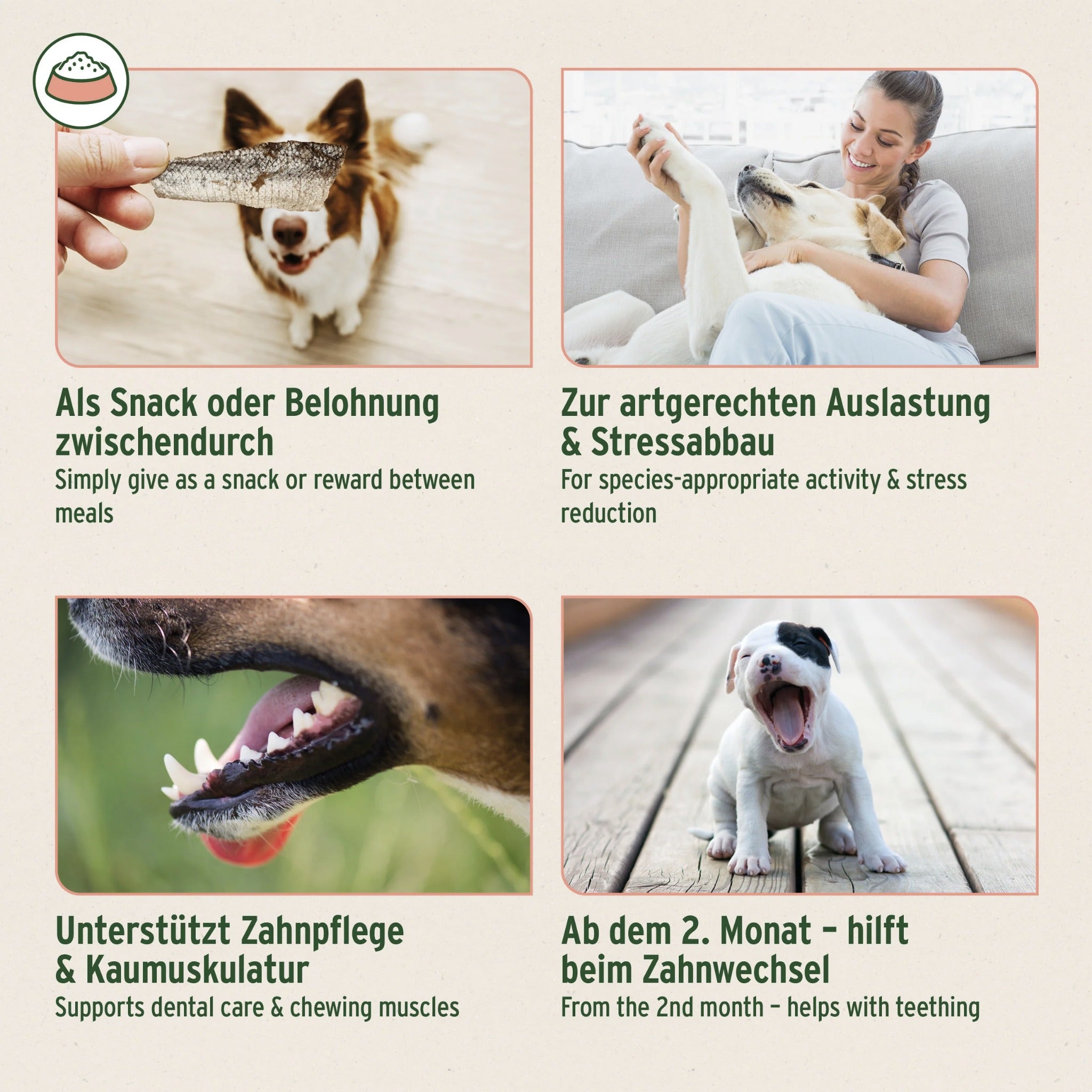 AniForte Lachshaut Hundesnack - Woofshack