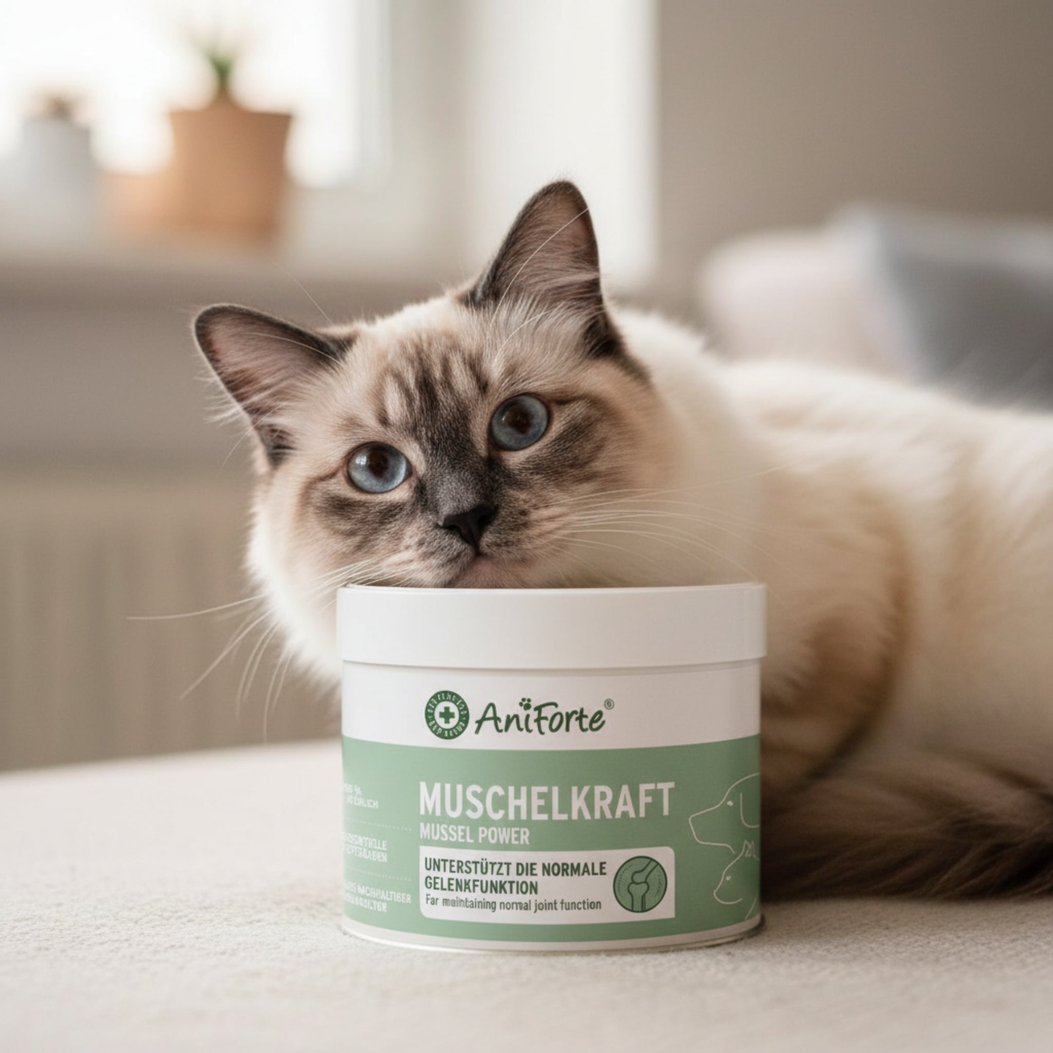 AniForte Muschelkraft Pulver – Natürliche Gelenkunterstützung für Hunde &amp; Katzen mit Blauer Miesmuschel als Futtertopping - Woofshack