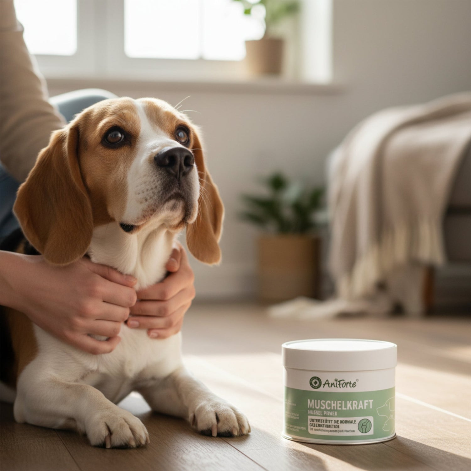 AniForte Muschelkraft Pulver – Natürliche Gelenkunterstützung für Hunde &amp; Katzen mit Blauer Miesmuschel als Futtertopping - Woofshack